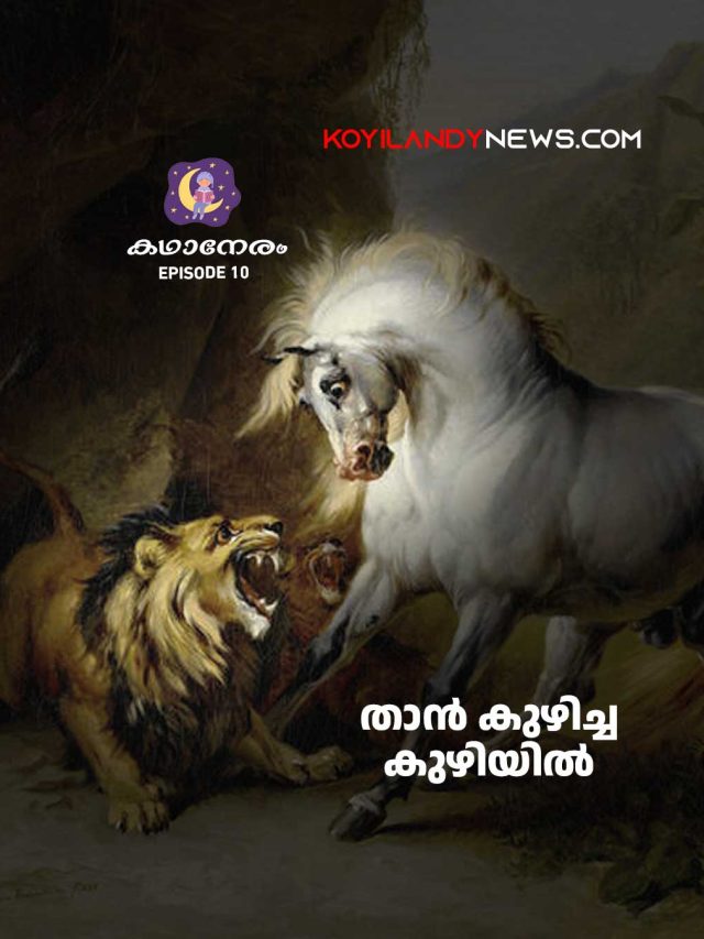 താന്‍ കുഴിച്ച കുഴിയില്‍ | Lion and Horse | Katha Neram 10 – Malayalam Audio Children Stories