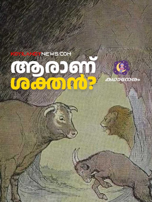 ആരാണ് ശക്തന്‍?  | Bull and Goat | Kathaneram